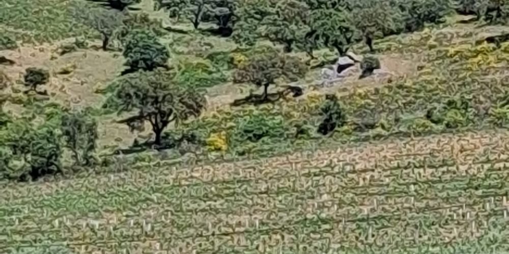 WhatsApp Image 2026-04-20 at 18.41.59 (1)