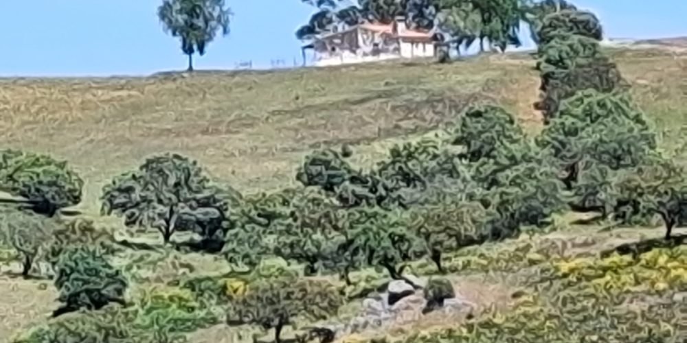 WhatsApp Image 2026-04-20 at 18.41.59 (3)