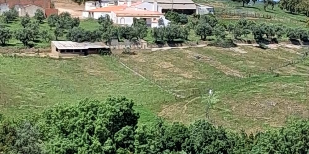 WhatsApp Image 2026-04-20 at 18.41.59 (6)