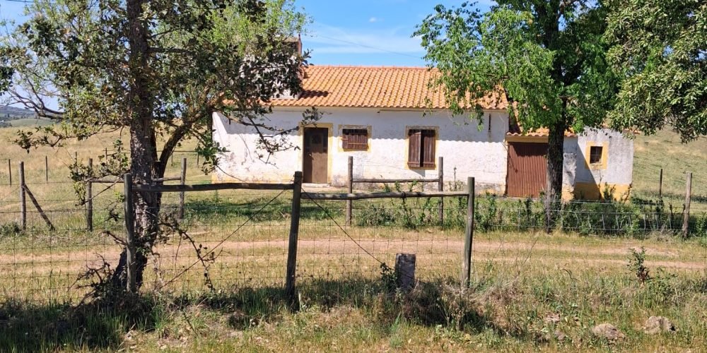 WhatsApp Image 2026-04-20 at 18.41.59 (7)