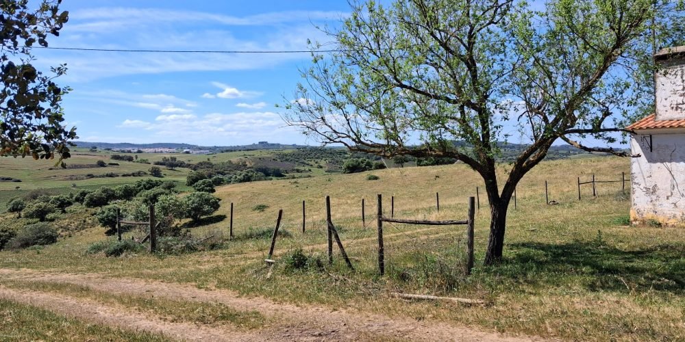 WhatsApp Image 2026-04-20 at 18.41.59 (8)