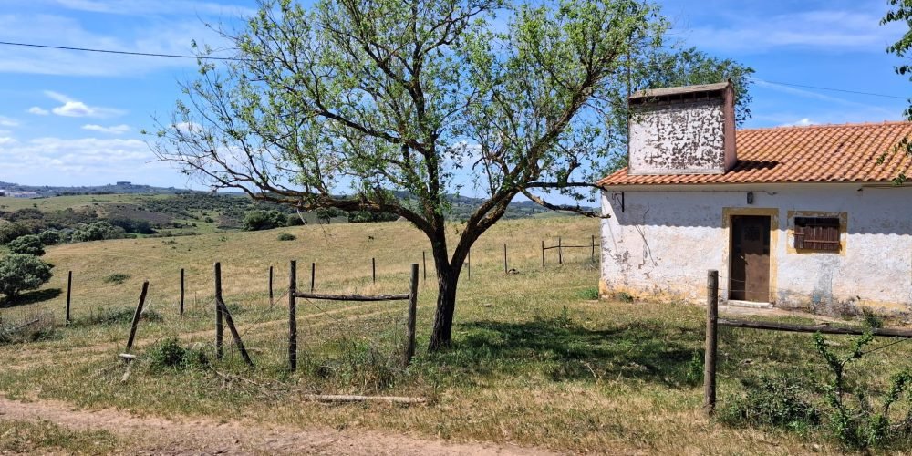 WhatsApp Image 2026-04-20 at 18.42.00 (1)