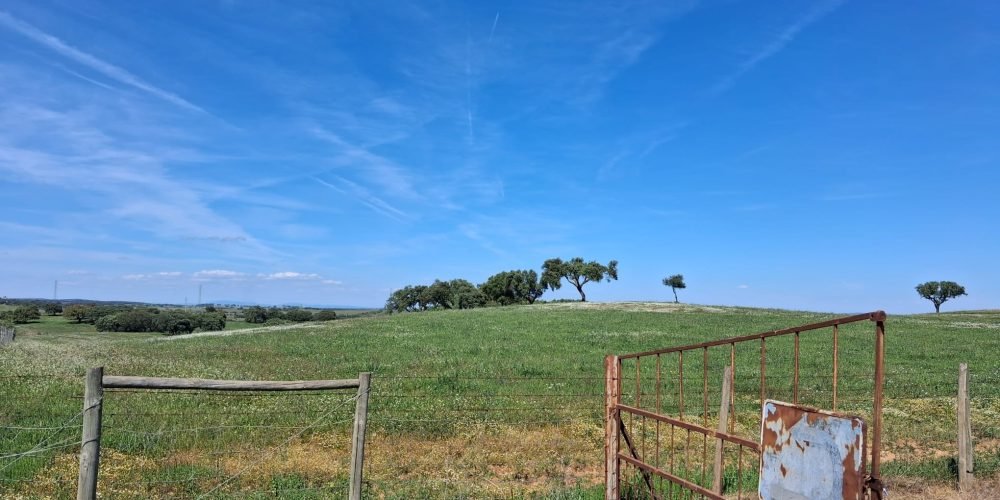 WhatsApp Image 2026-04-20 at 18.42.00 (2)