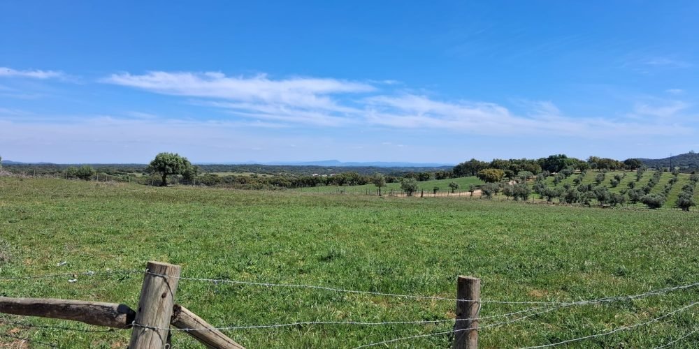 WhatsApp Image 2026-04-20 at 18.42.00 (3)