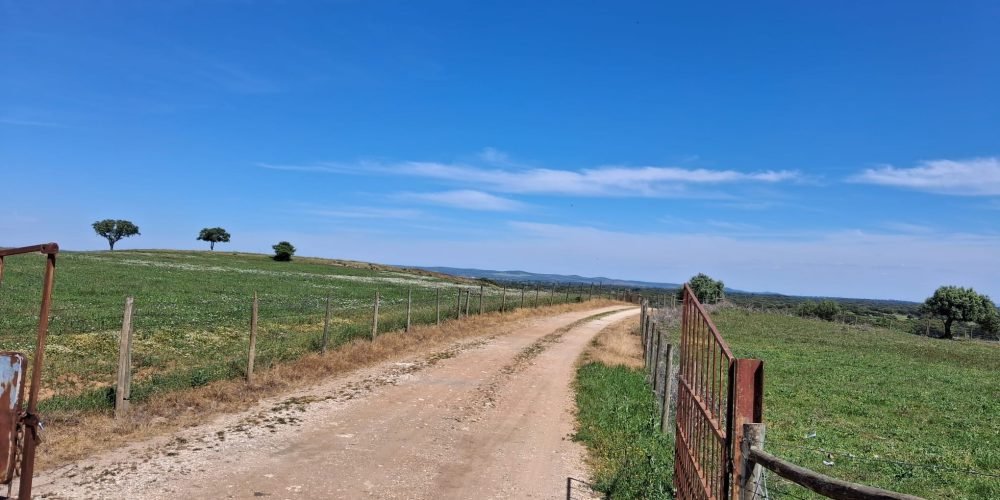 WhatsApp Image 2026-04-20 at 18.42.00 (4)