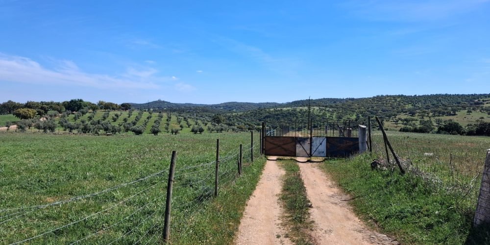 WhatsApp Image 2026-04-20 at 18.42.00 (5)