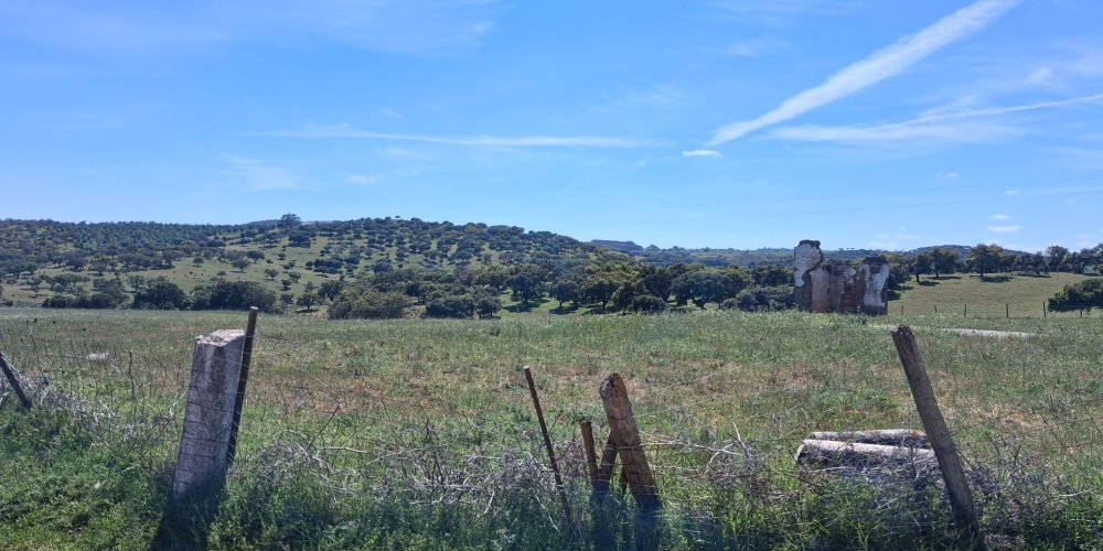 WhatsApp Image 2026-04-20 at 18.42.00 (6)