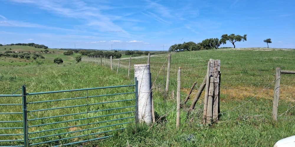 WhatsApp Image 2026-04-20 at 18.42.00 (7)