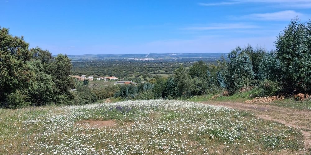 WhatsApp Image 2026-04-20 at 18.42.00