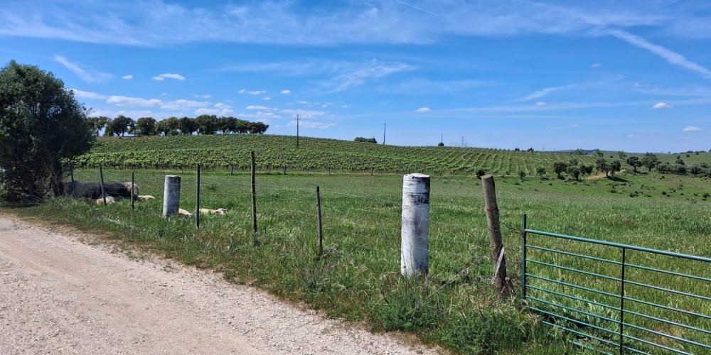 WhatsApp Image 2026-04-20 at 18.42.01 (1)