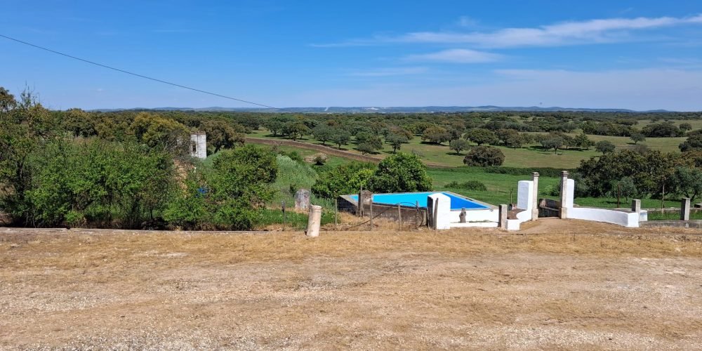 WhatsApp Image 2026-04-20 at 18.42.01 (2)