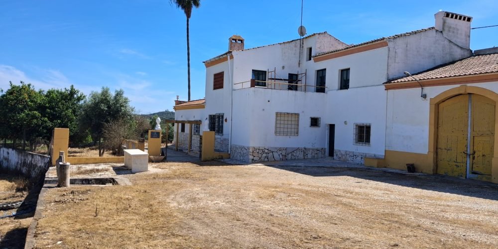 WhatsApp Image 2026-04-20 at 18.42.01 (4)