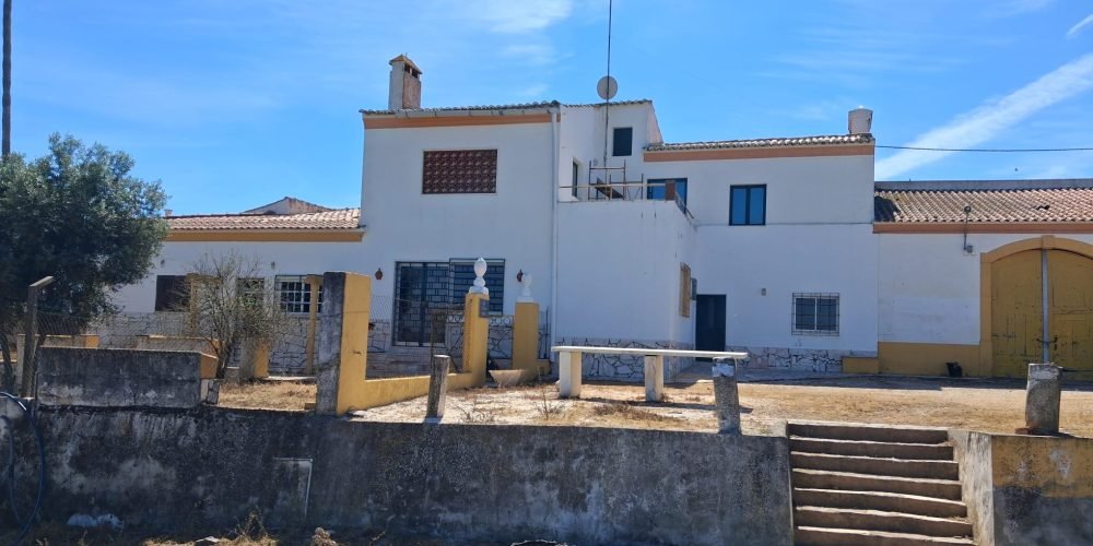 WhatsApp Image 2026-04-20 at 18.42.01 (6)