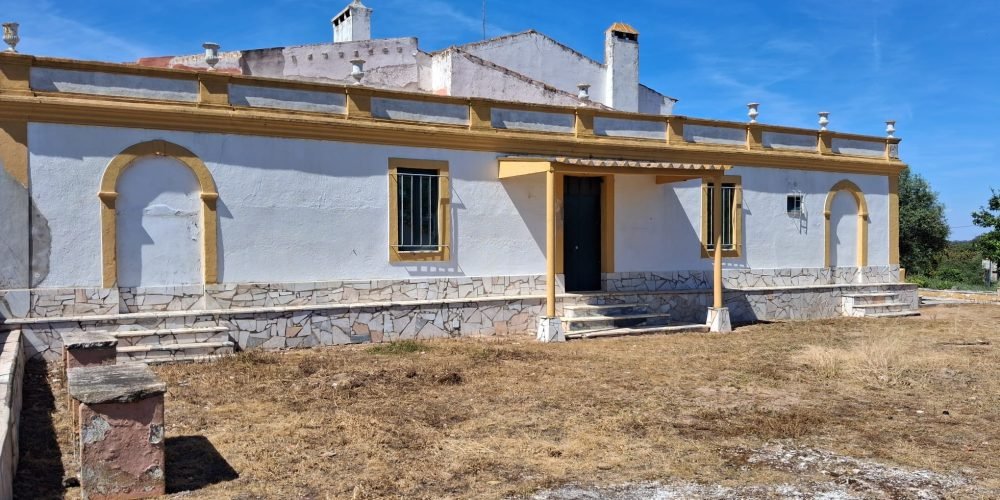 WhatsApp Image 2026-04-20 at 18.42.01 (8)