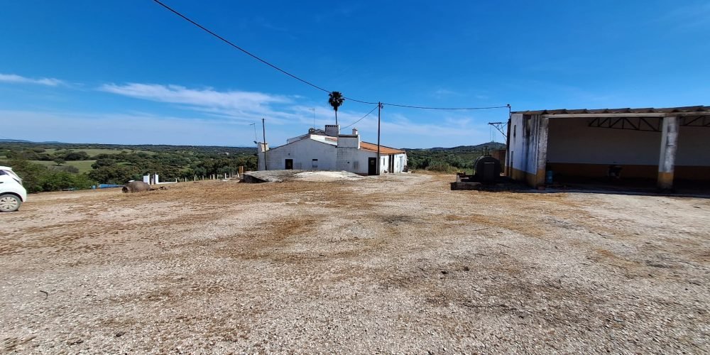 WhatsApp Image 2026-04-20 at 18.42.01 (9)