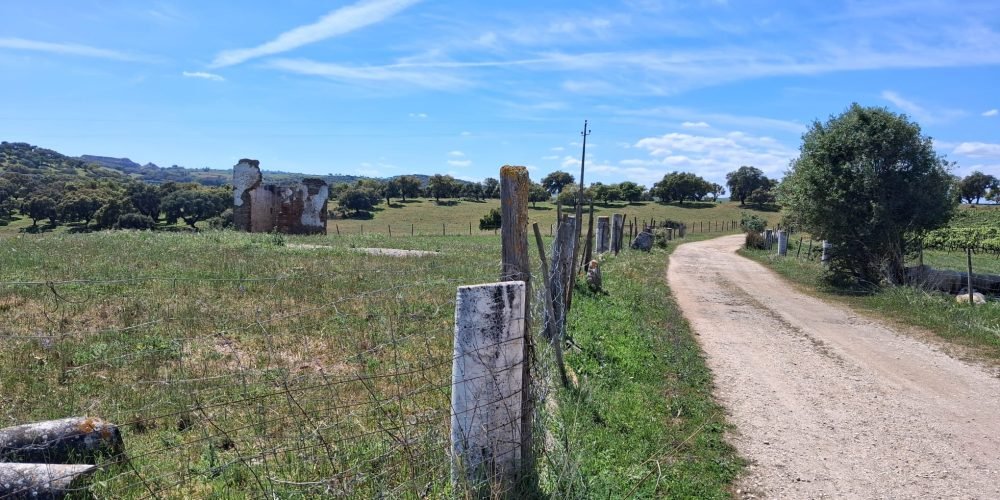 WhatsApp Image 2026-04-20 at 18.42.01