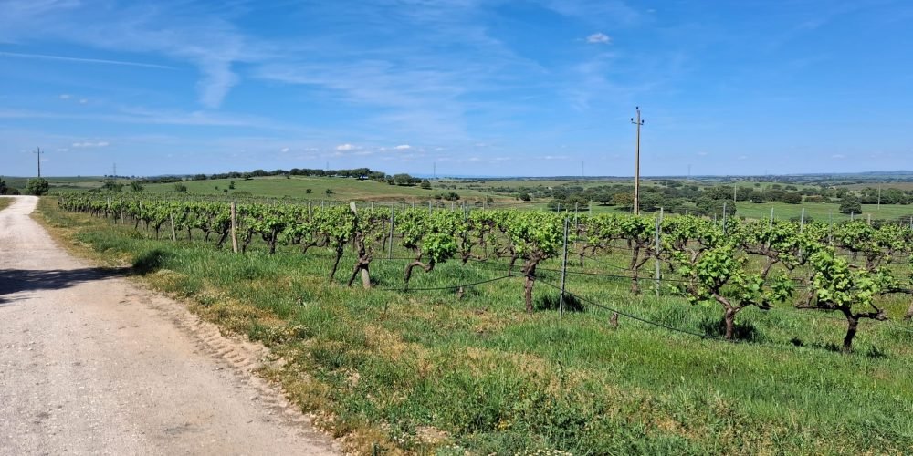 WhatsApp Image 2026-04-20 at 18.42.02 (3)