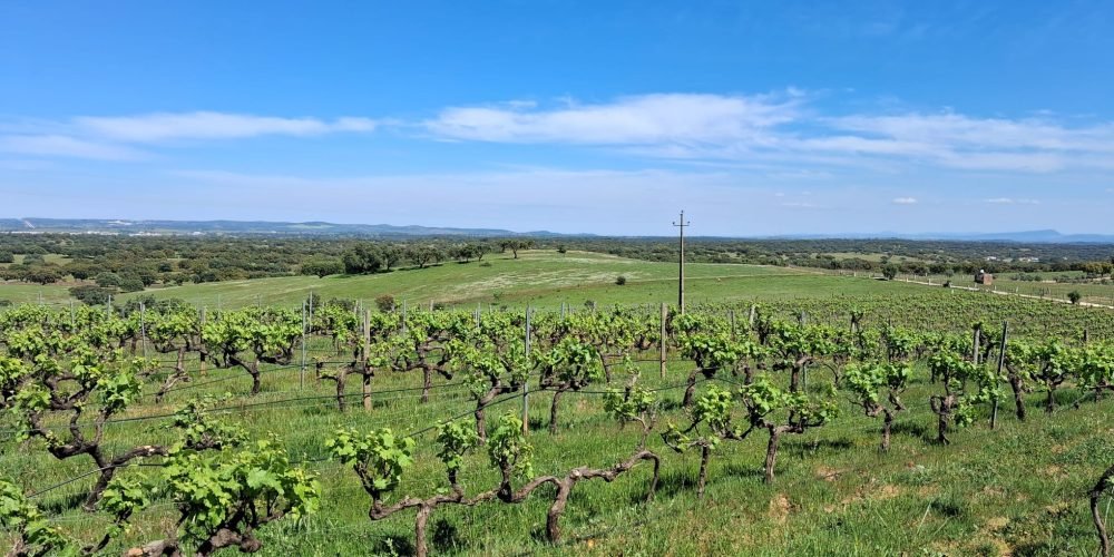 WhatsApp Image 2026-04-20 at 18.42.02 (4)