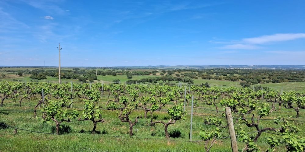 WhatsApp Image 2026-04-20 at 18.42.02 (5)