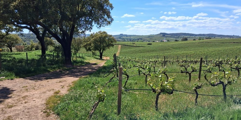 WhatsApp Image 2026-04-20 at 18.42.02 (8)