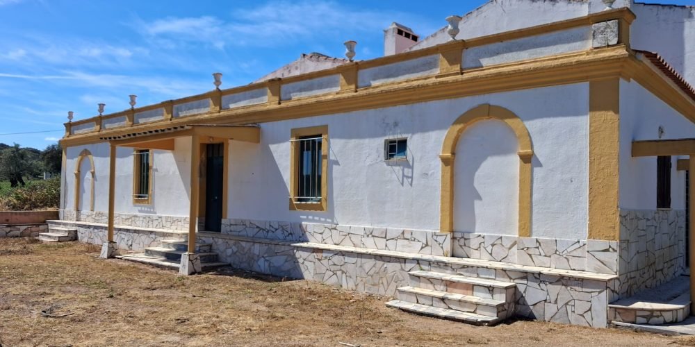 WhatsApp Image 2026-04-20 at 18.42.02