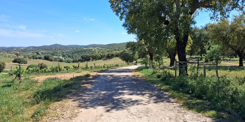 WhatsApp Image 2026-04-20 at 18.42.03 (1)