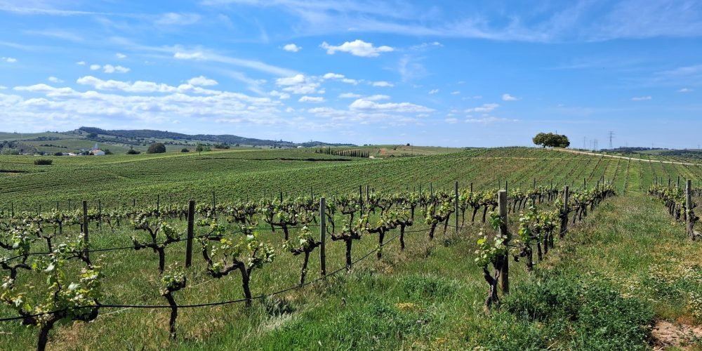 WhatsApp Image 2026-04-20 at 18.42.03 (2)