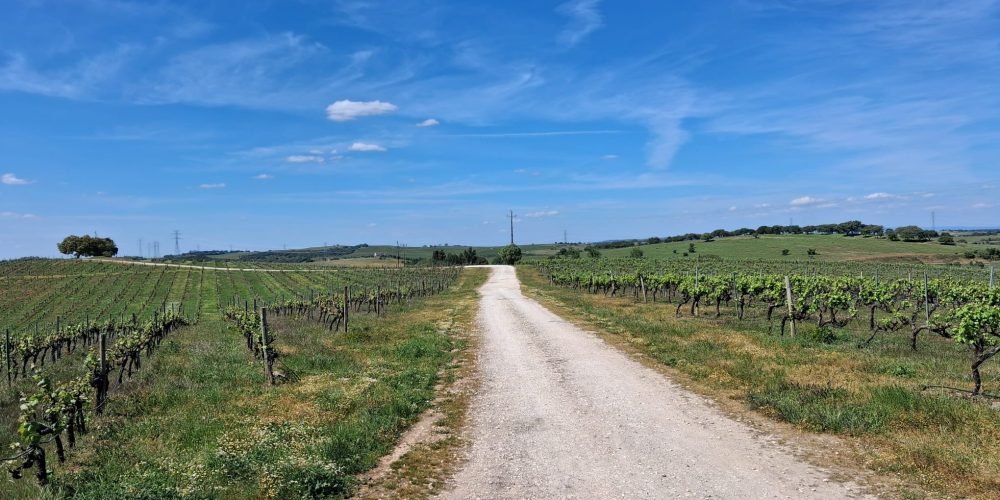 WhatsApp Image 2026-04-20 at 18.42.03 (3)