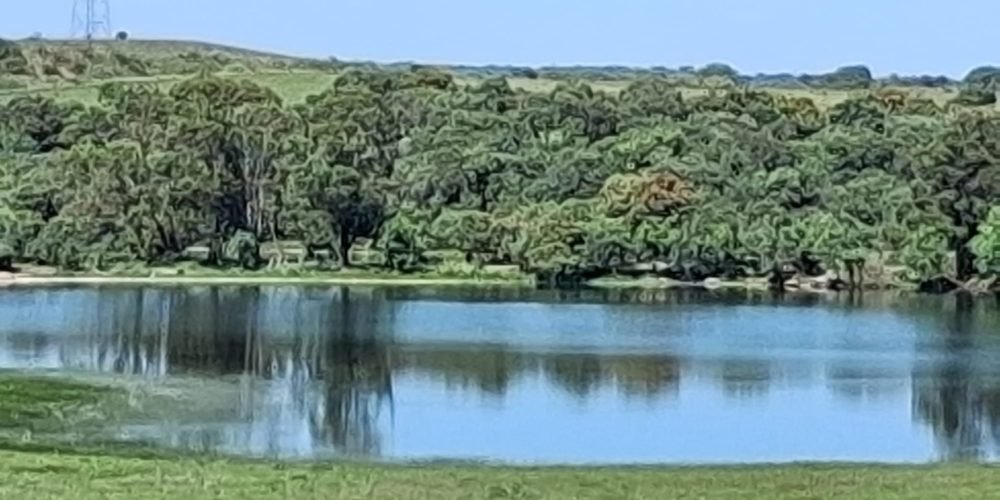 WhatsApp Image 2026-04-20 at 18.42.03 (4)