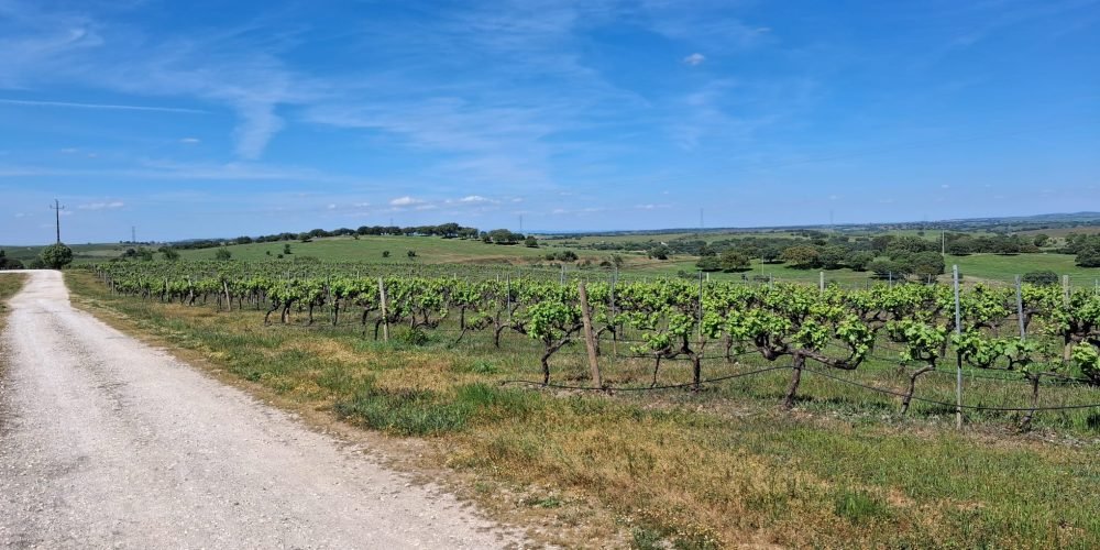 WhatsApp Image 2026-04-20 at 18.42.03 (6)